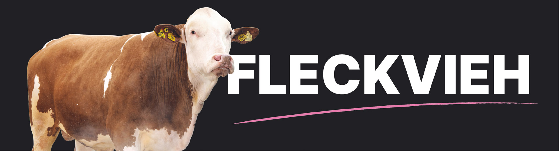 Fleckvieh