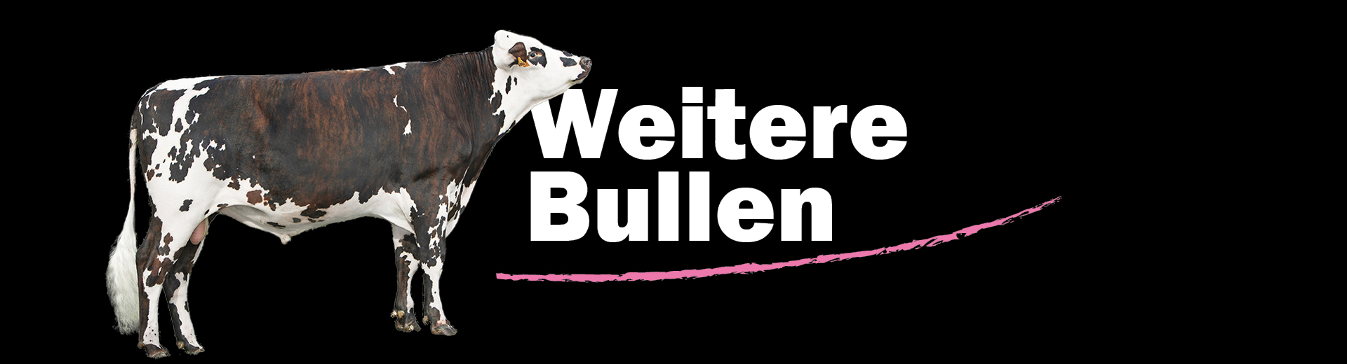 Weitere Bullen