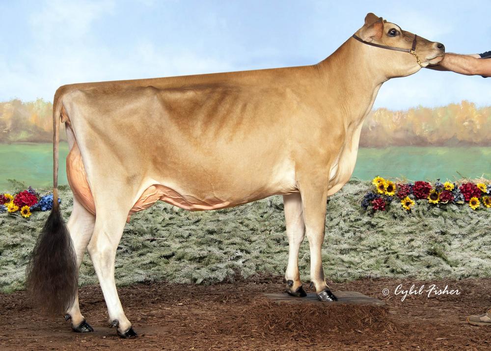 River Valley Citation Lovely EX-90 (Mutter)