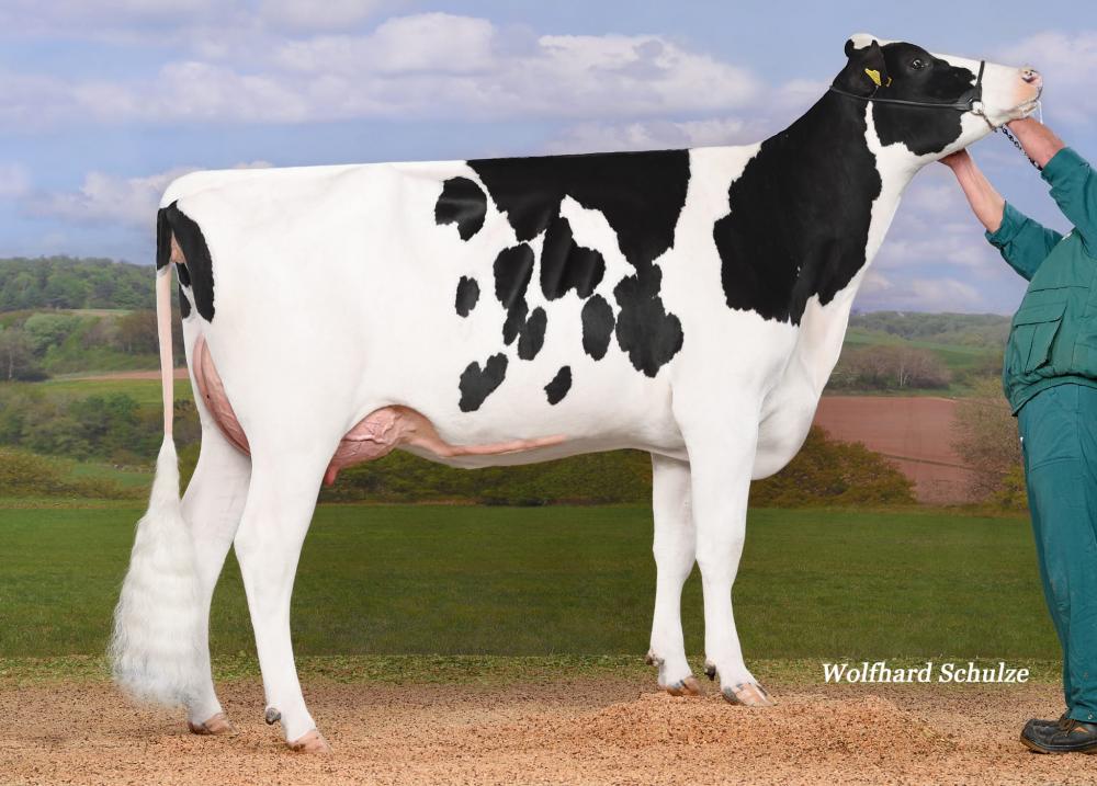 CEH Marlis VG-87 (Halbschwester)