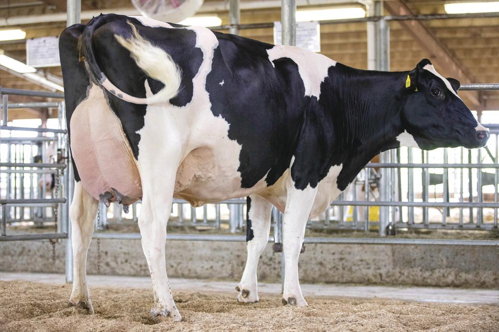 Siemers Denver Paris EX-91 (Vollschw. der GM)