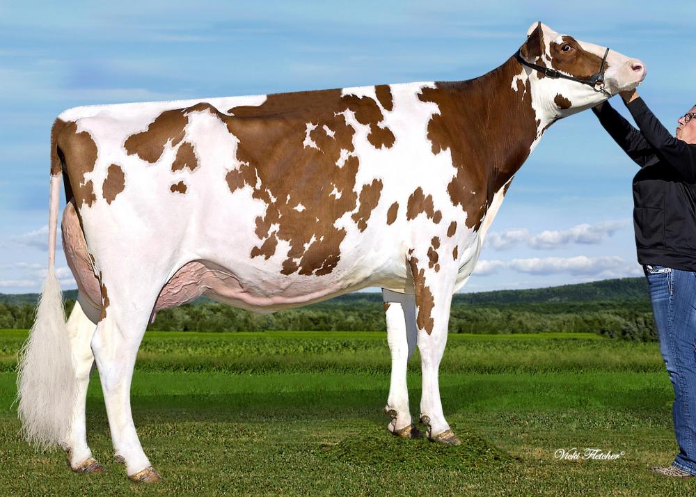 Ms Apple Anara-Red-ET VG-88 (Großmutter)