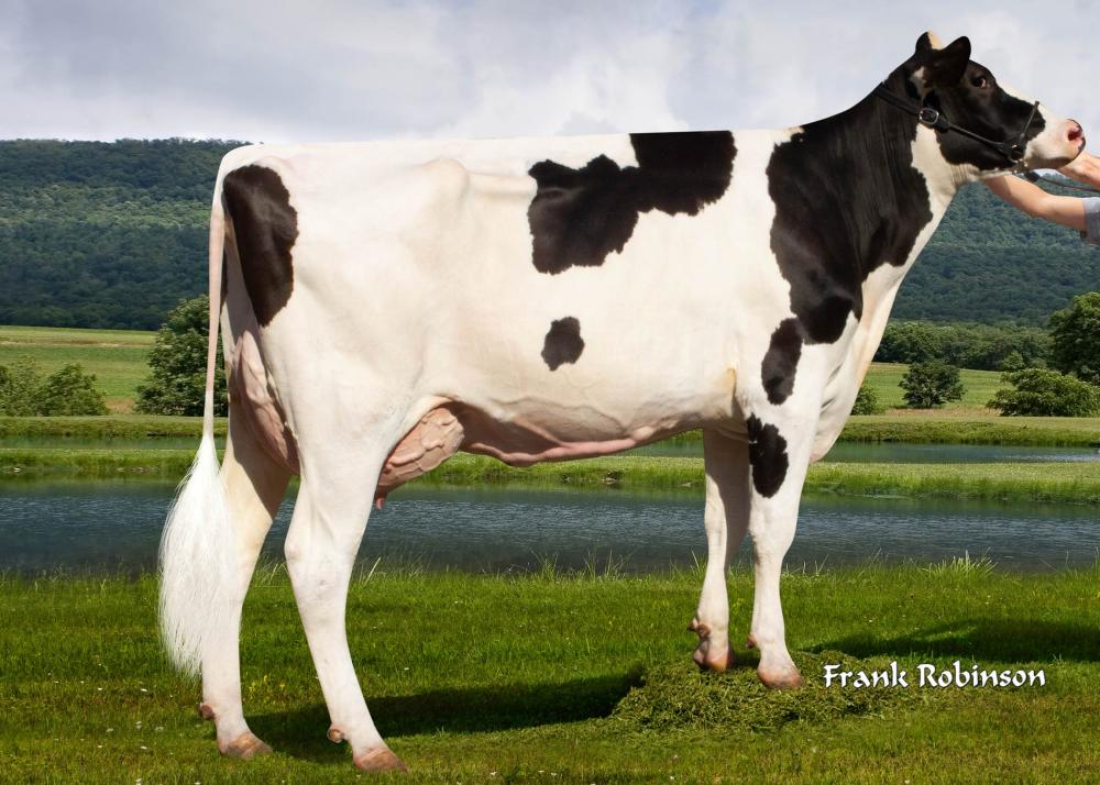 Fairmont Salvatore Doris VG-85 (Mutter)