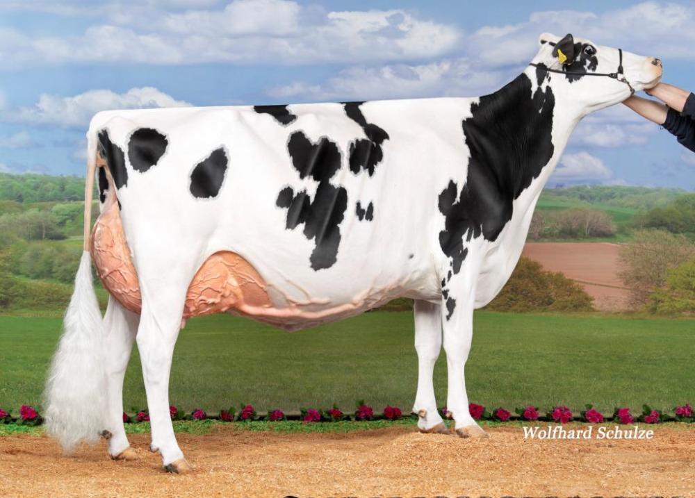 Les Ponts Chief Elina EX-94