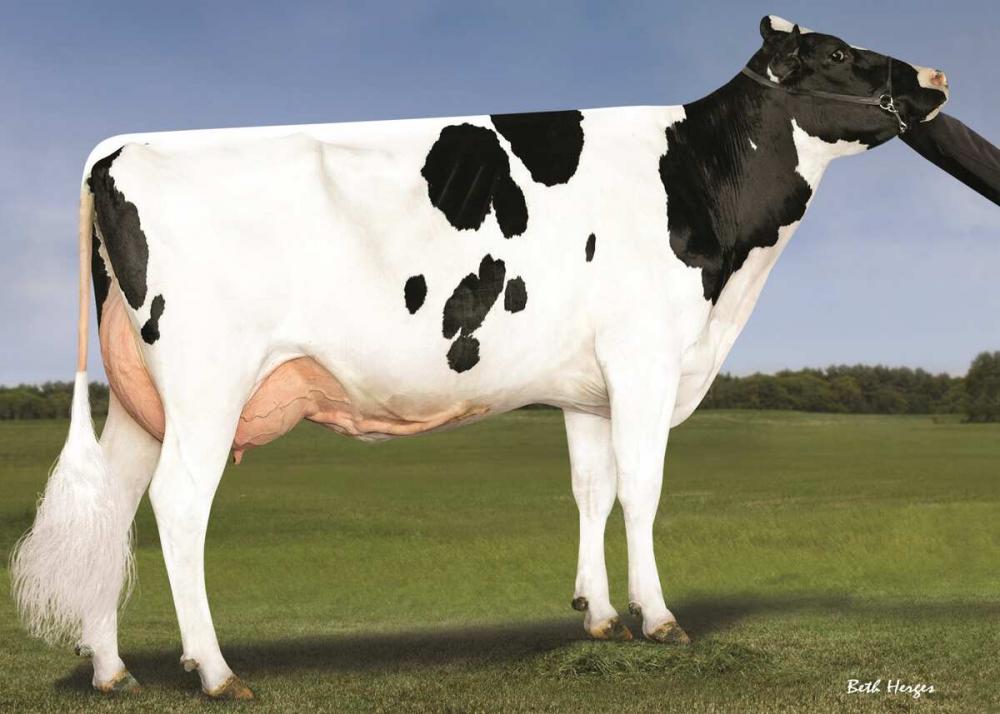 Pen-Col Rubicon Beth VG-87 (HS der GM)