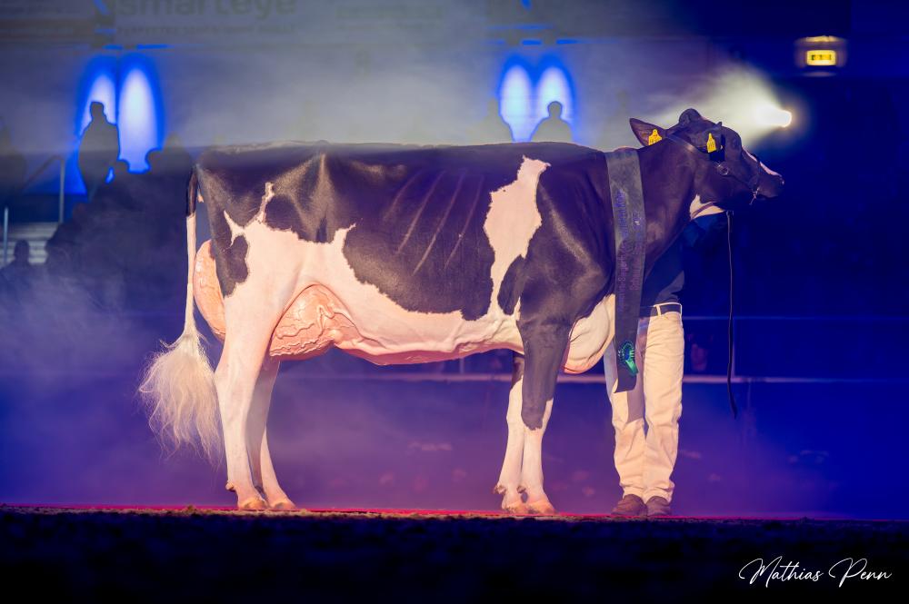 LOH Lambda Milana EX 90 