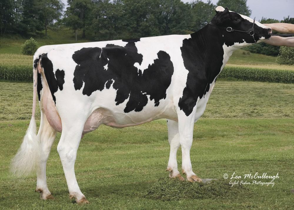 Sully Shottle Otomique-ET EX-90 (Stammkuh)