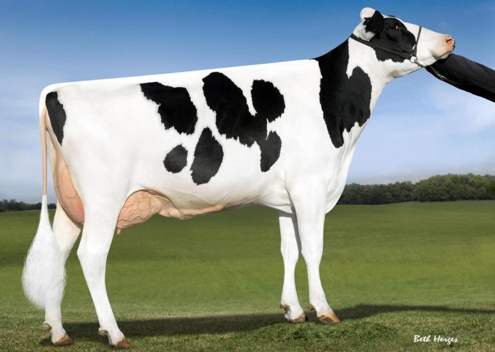 Ocd Supersire 9882-ET VG-86 (4. Mutter)