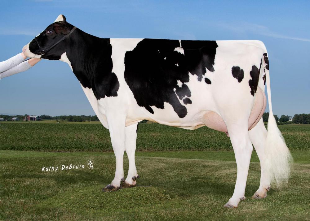 Pine-TRee 9882 Prof 7019-ET VG-86 (3. Mutter)