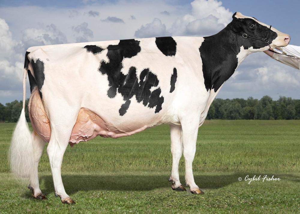 JM Valley Sidekick Lady EX-95 (Mutter)