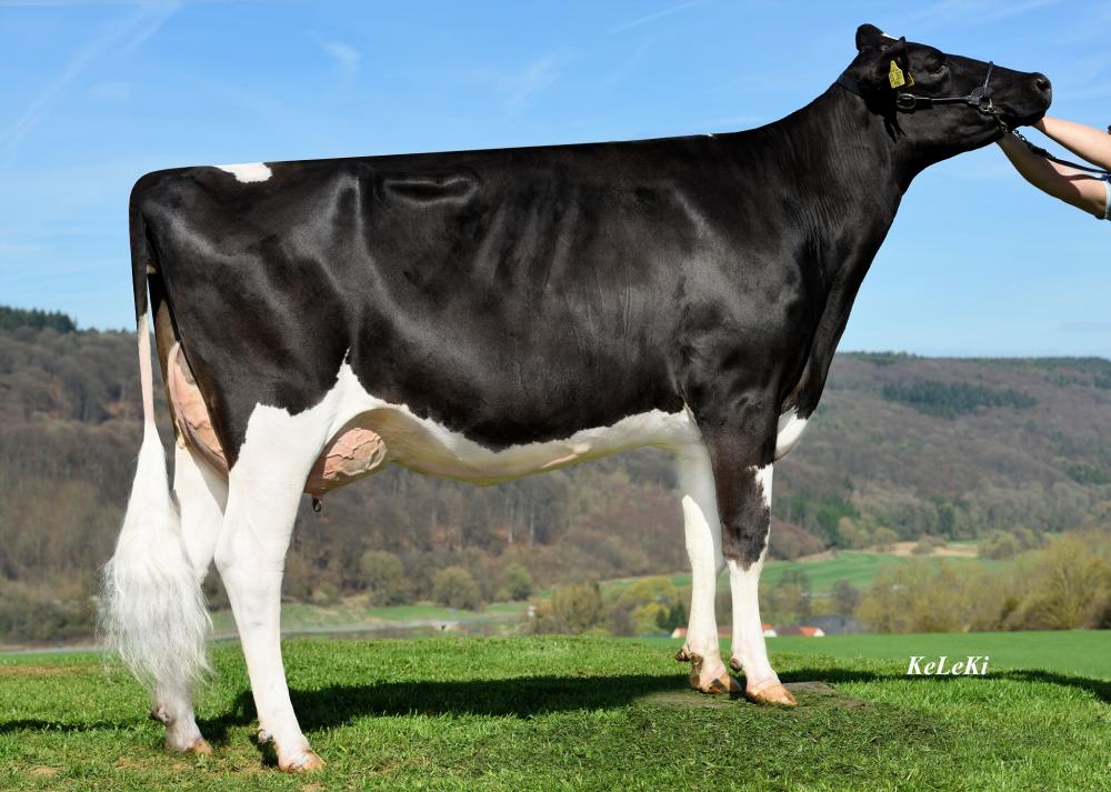 NH Balisto Marilyn Monroe VG-86 (3.Mutter)