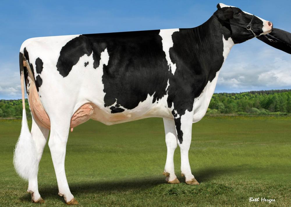 Genosource Bravo 47586 VG-86 (Mutter)