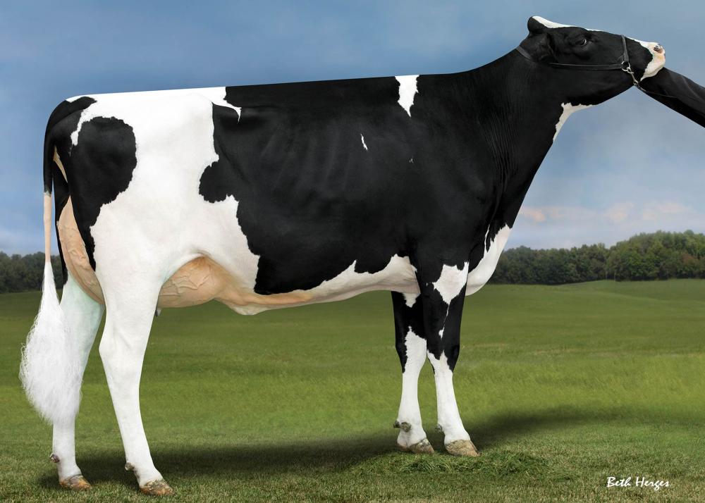 Genosource Dreaming Big EX-91 (3. Mutter)