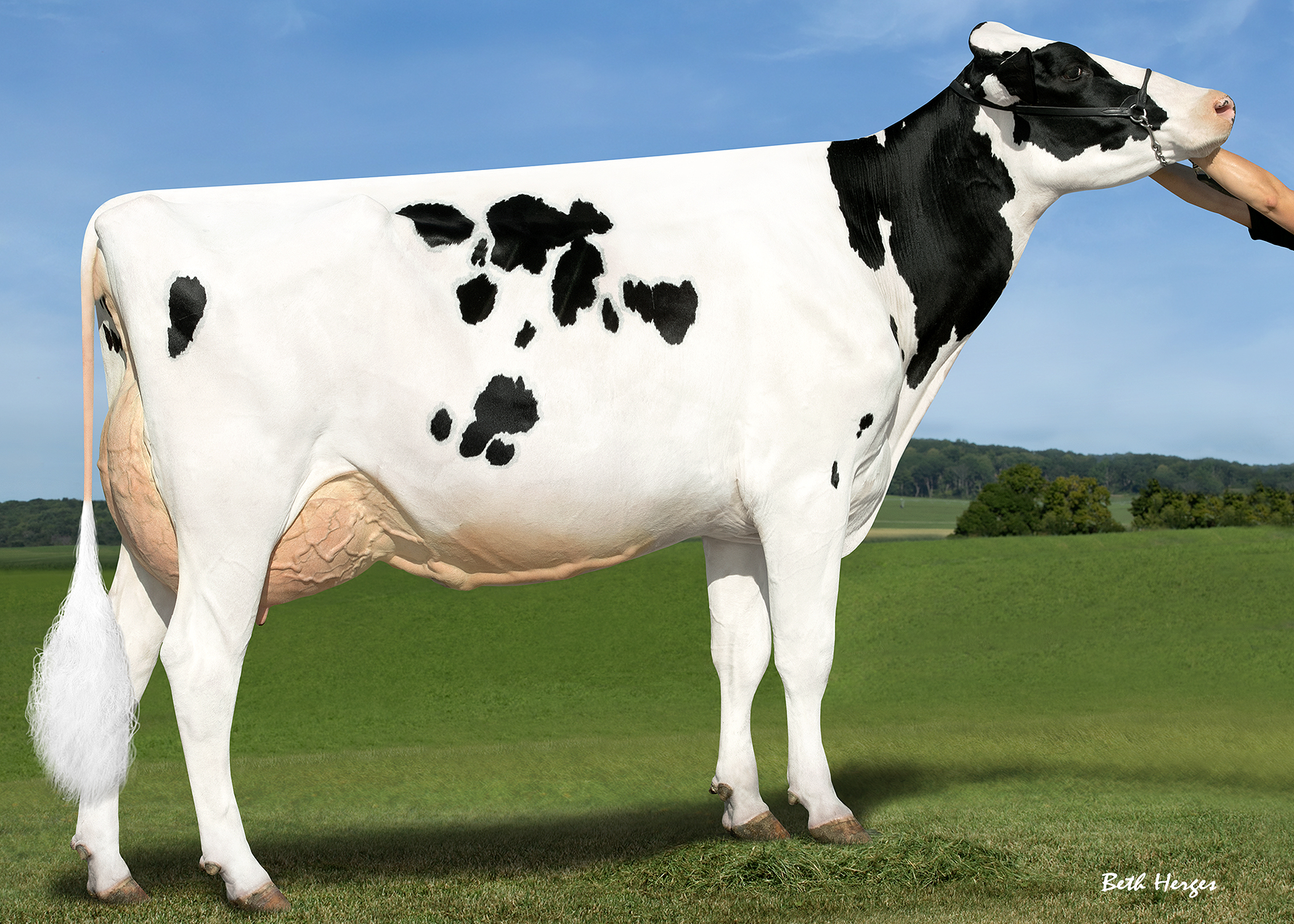 Sandy-Valley Rubicon Eternity EX-92