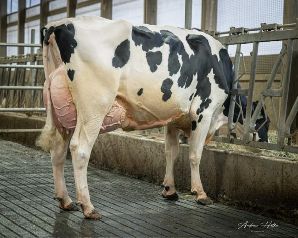 OCD Weelhouse Rae 68559 EX-91 (Mutter)