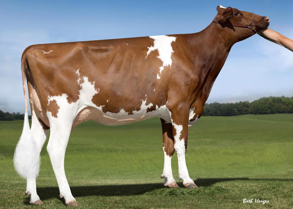 KHW Alchemy Adeline VG-86