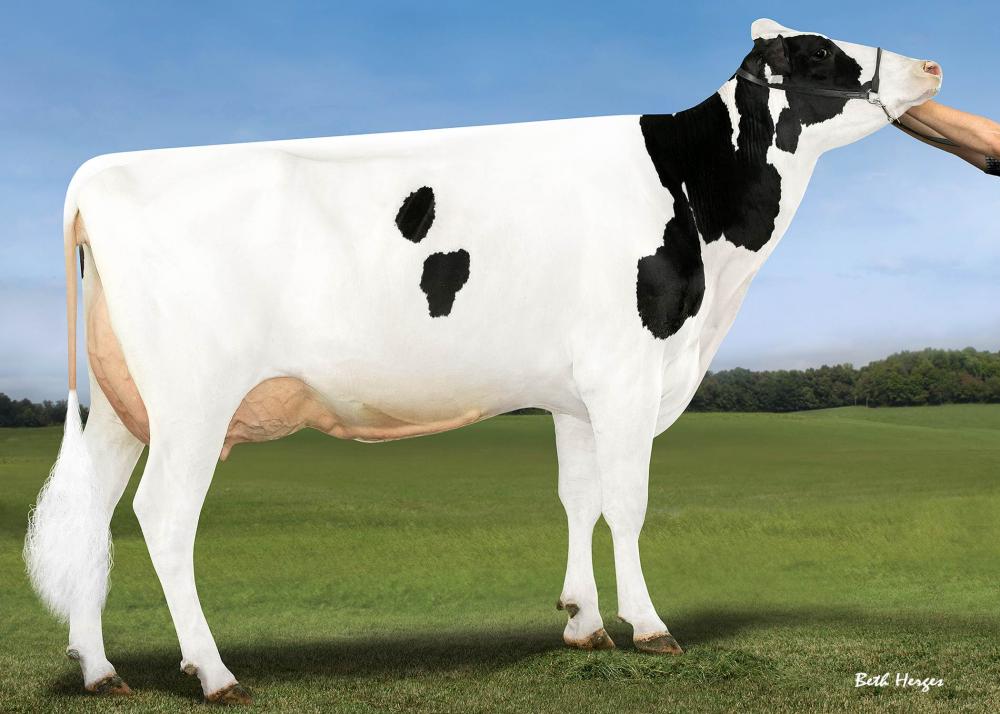 MS Delicous Rub 73358 EX-90 (3. Mutter)