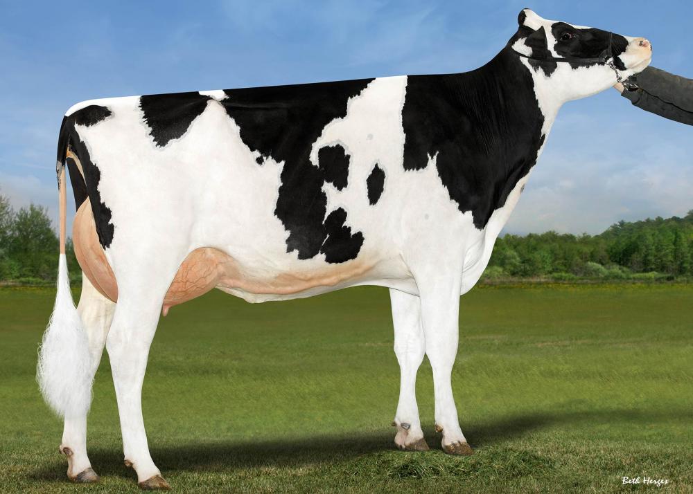 Genosource Caughtin Love VG-88 (Mutter)