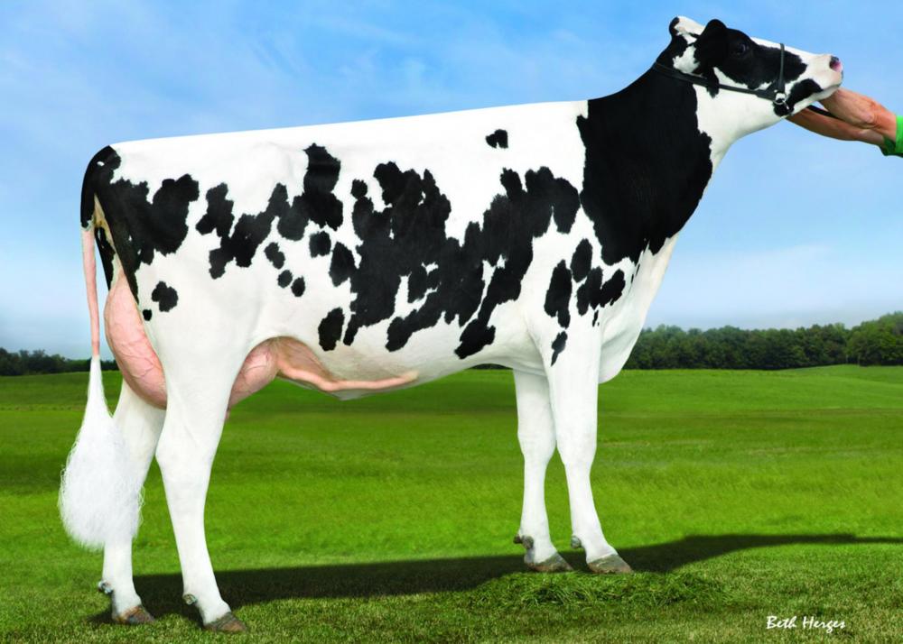 S-S-I Moonray Myesha VG-85 (5.Mutter)