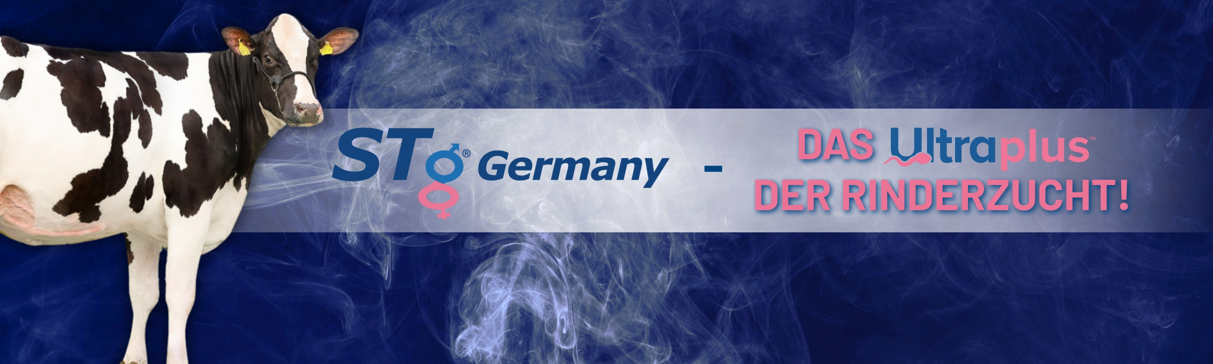 STG Germany