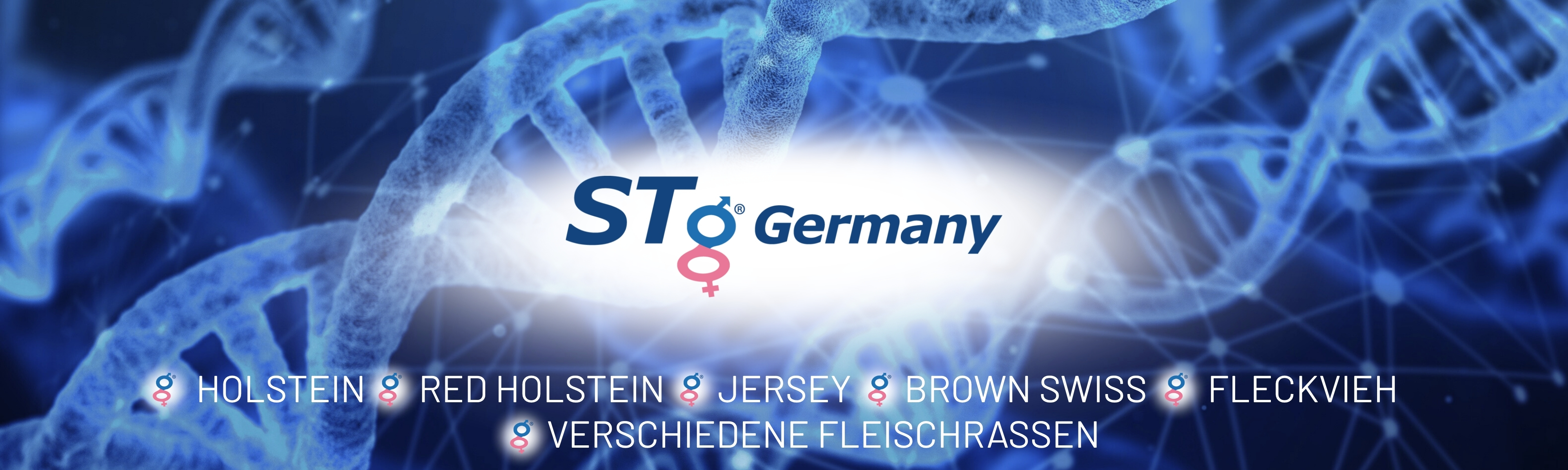 STG Germany