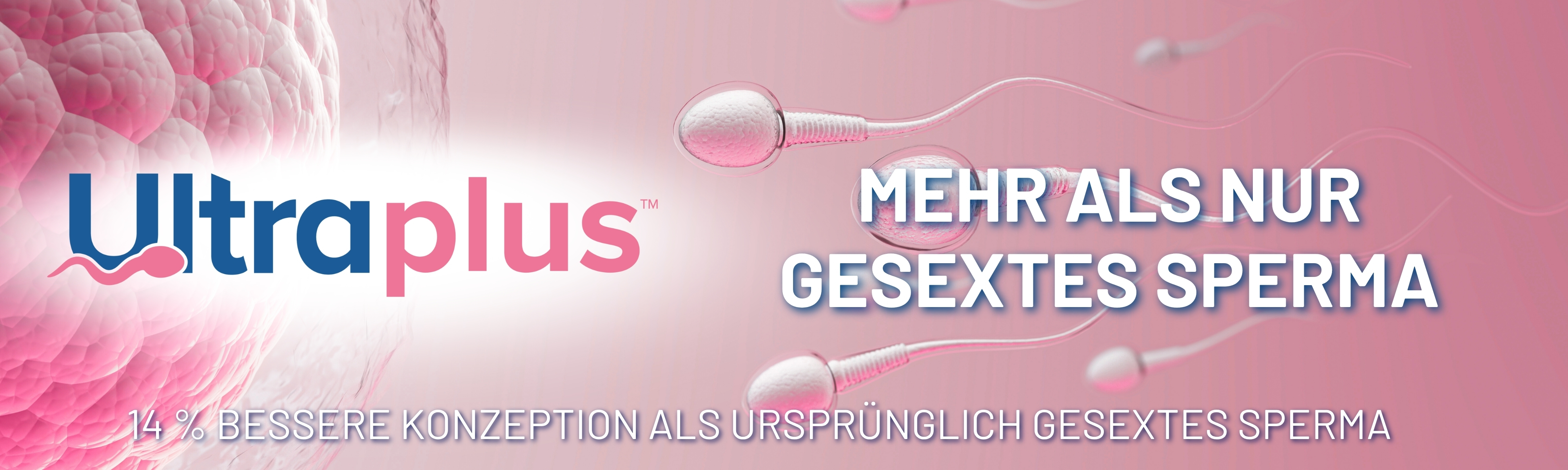 Ultraplus