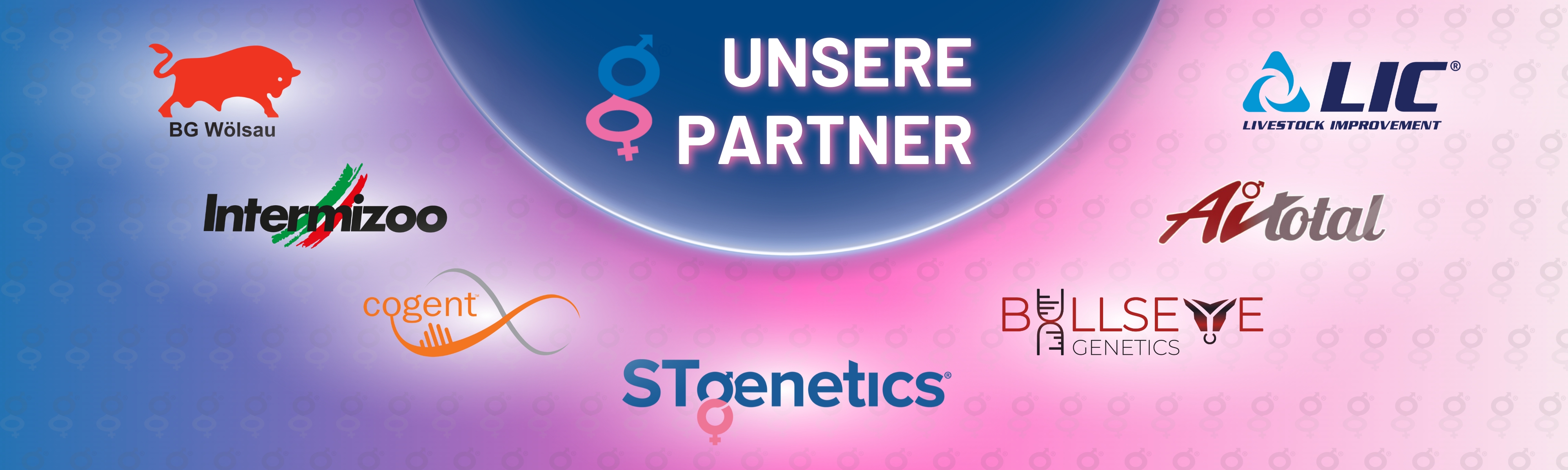 Partner